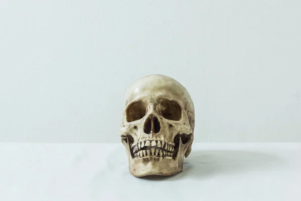 Crâne humain sur fond blanc — Photo