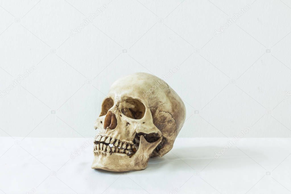 Human skull on a white background 