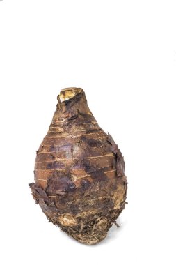 Yemek pişirmek için kullanılan taro malzemeler 