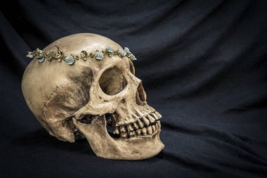 Natürmort elmas ile eski bir insan kafatası ile 