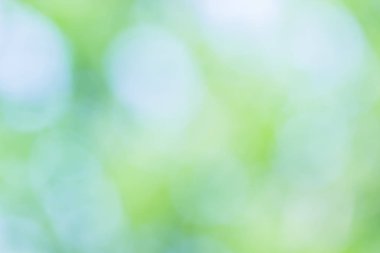 Doğal yeşil arkaplan bulanık 