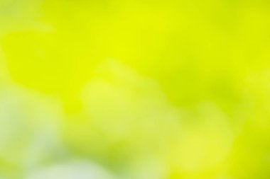 Doğal yeşil arkaplan bulanık 