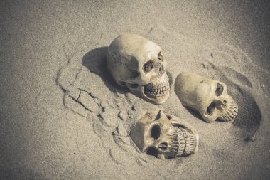 bir kafatası ile natürmort 