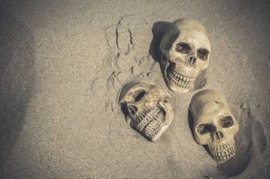 bir kafatası ile natürmort 