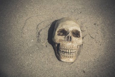 bir kafatası ile natürmort 