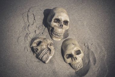 bir kafatası ile natürmort 