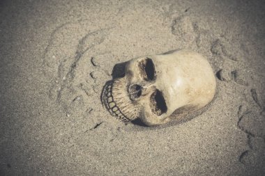 bir kafatası ile natürmort 