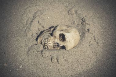 bir kafatası ile natürmort 