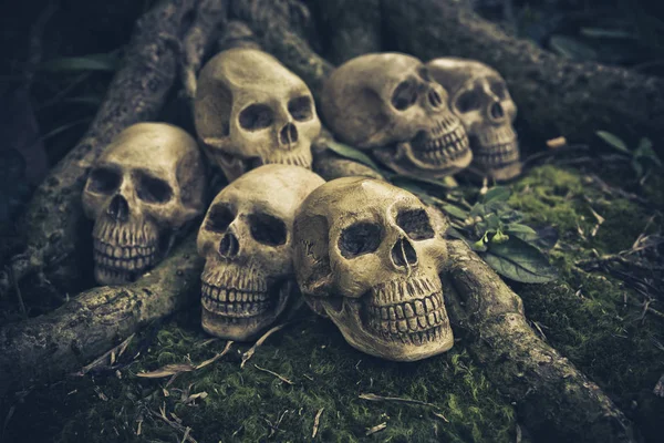 Νεκρή φύση με ανθρώπινο κρανίο στις ρίζες — Φωτογραφία Αρχείου