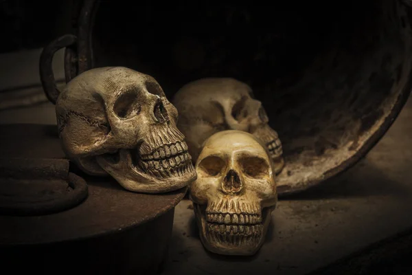 Photography  with the skull of a human skull — Stock Photo, Image