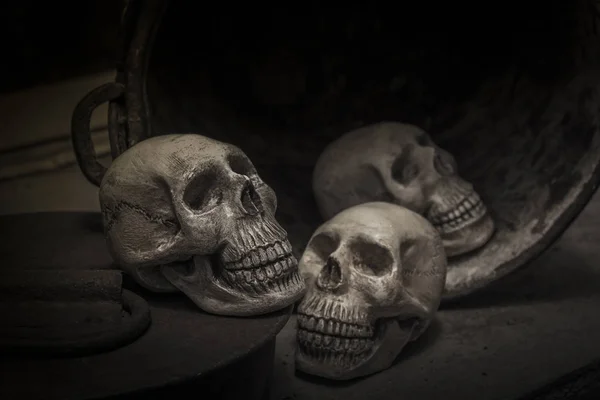 人間の頭蓋骨の頭蓋骨の写真 — ストック写真