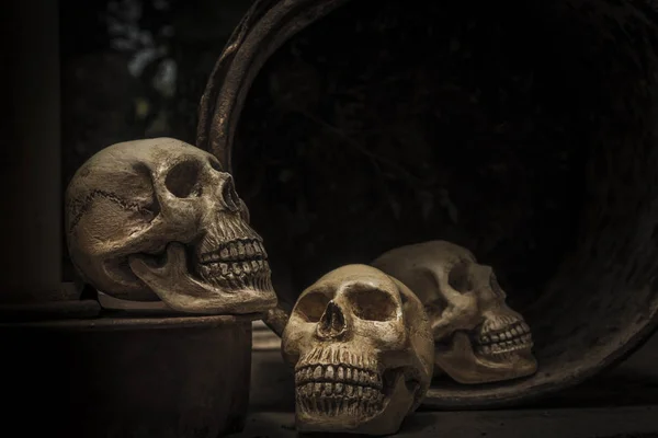 Photography  with the skull of a human skull — Stock Photo, Image