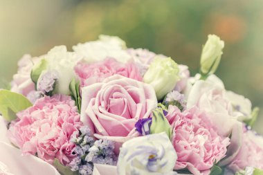 Renkli çeşitlilik gül arka plan, sığ derinlik-in tarla. 