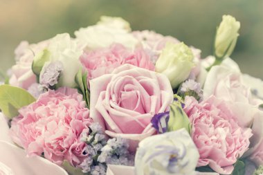 Renkli çeşitlilik gül arka plan, sığ derinlik-in tarla. 