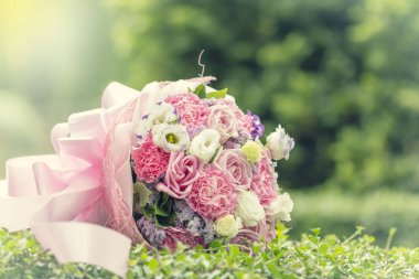 Renkli çeşitlilik gül arka plan, sığ derinlik-in tarla. 