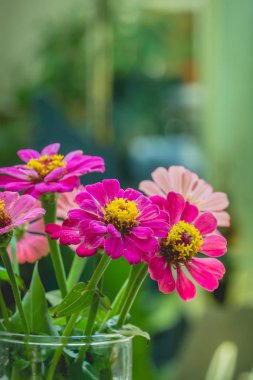 Vazo çiçek Vintage tarzı açık çeşitli türde yaşayan