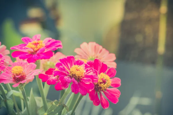 Vazo çiçek Vintage tarzı açık çeşitli türde yaşayan