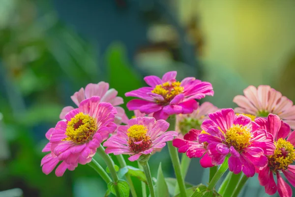 Vazo çiçek Vintage tarzı açık çeşitli türde yaşayan