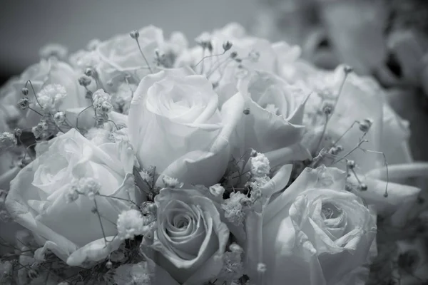 Ramo de rosas en tonos de blanco y negro . — Foto de Stock