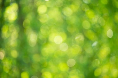 Soyut bokeh ve bulanık yeşil doğa arka plan