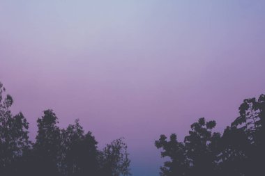 Örnek olarak kullanılan ağaçlarının silüetler ile arka plan günbatımı