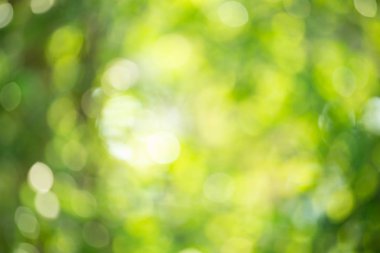Soyut bokeh ve bulanık yeşil doğa arka plan