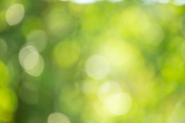 Soyut bokeh ve bulanık yeşil doğa arka plan