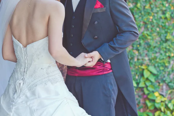 Matrimonio tema, tenendo per mano gli sposi — Foto Stock