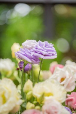 Güzel bir buket çiçek tüm günler için 