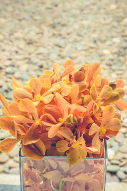 Orkide sarı soyut doku arka plan 