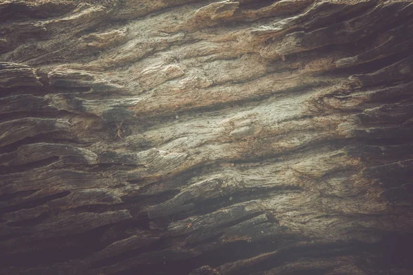 Eski ahşap arka plan olarak kullanılan doku kırık 