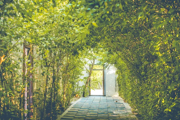 Peyzaj ve parkta yürüyüş yolları 