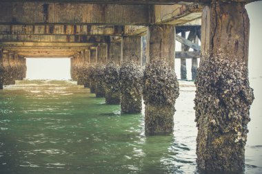 Köprünün altında