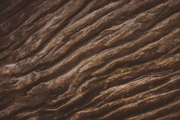 Eski ahşap arka plan olarak kullanılan doku kırık 