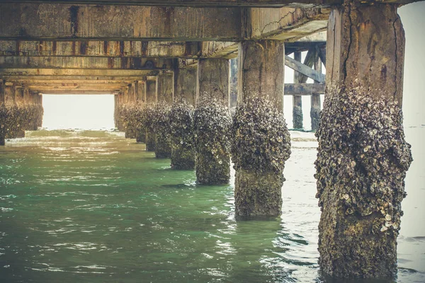 Köprünün altında