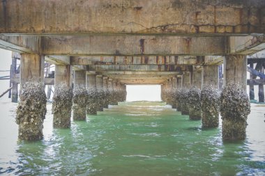 Köprünün altında