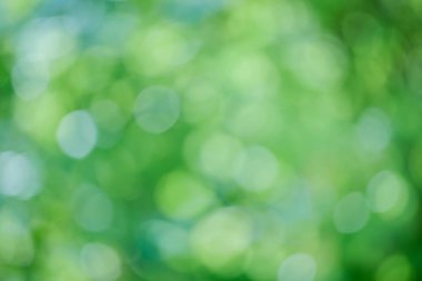 Doğal yeşil arka plan için resimli olarak bulanık 