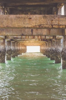 Köprünün altında