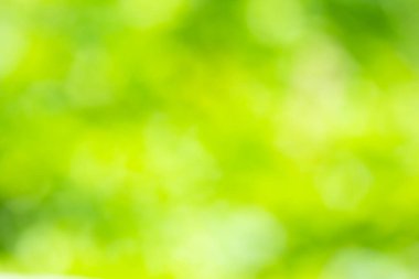 Arkaplan için soyut yeşil ve sarı renk, metin girdisi ve tasarımı için kullanılan bulanık ve odaksız bahar kavramı