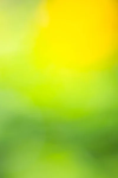抽象的なぼかし緑と黄色背景 ぼかしさと集中効果のための色春のコンセプトテキスト入力とデザインに使用 — ストック写真