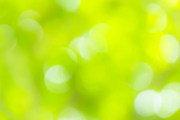 抽象的なぼかし緑と黄色背景 ぼかしさと集中効果のための色春のコンセプトテキスト入力とデザインに使用 — ストック写真