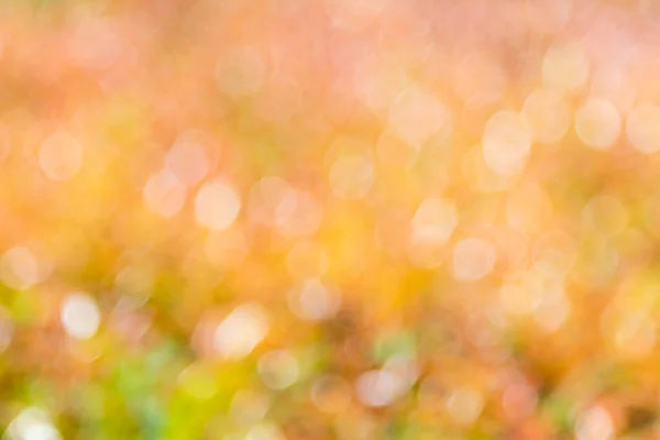 Bokeh Bakgrund Med Naturligt Ljus Grön Gul Orange Med Suddig — Stockfoto