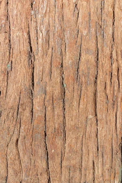 Wood Texture Background — Stock Photo, Image