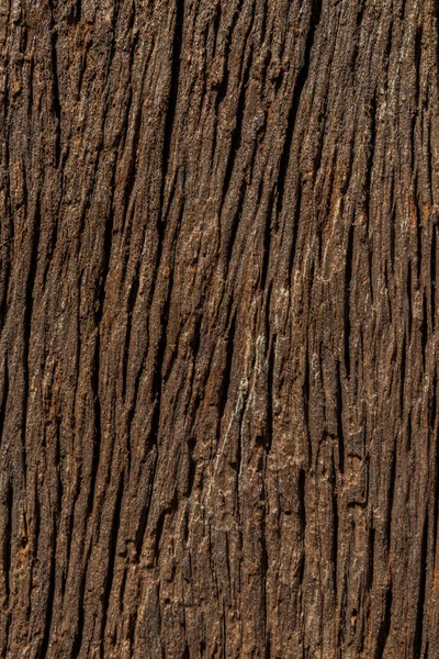 Wood Texture Background — Stock Photo, Image