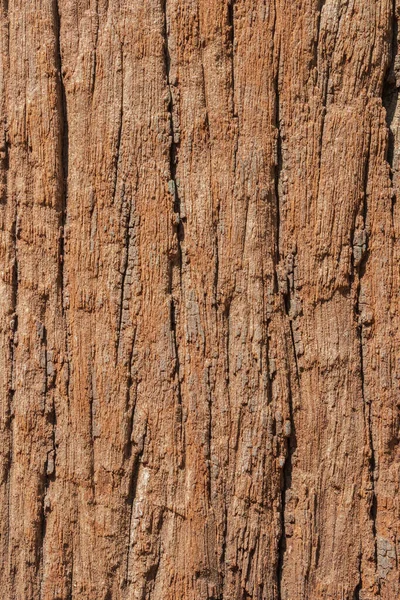 Wood Texture Background — Stock Photo, Image