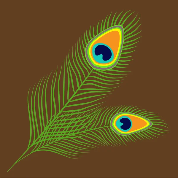Ensemble de plumes de paon — Image vectorielle