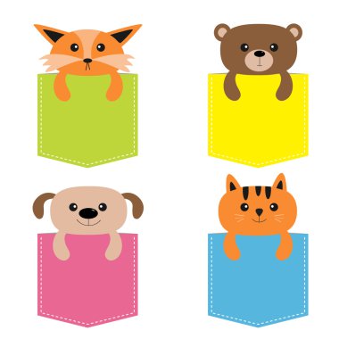 cebinde sevimli hayvanlar