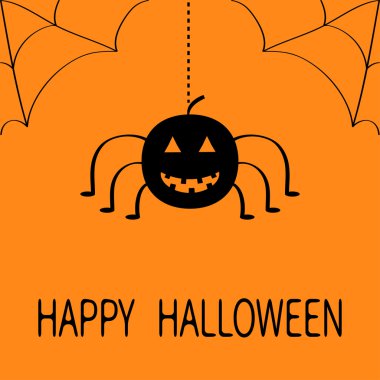 Kabak asılı örümcek