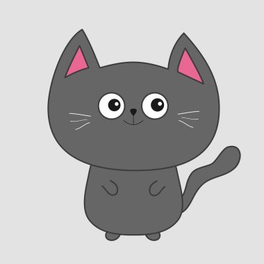 Büyük gözlü gri kedi.