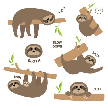 Sloth animals set clipart